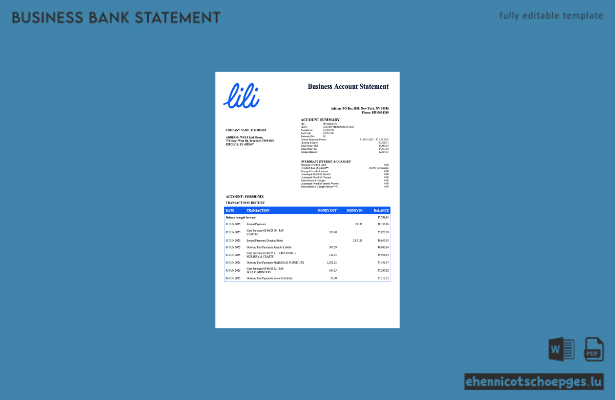 USA Lili Organisation Kontoauszug Word- und PDF-Beispielvorschau